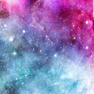 Meet your Posher, Mackenzie